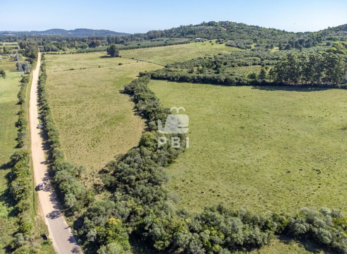 imagen  de la propiedad 153317