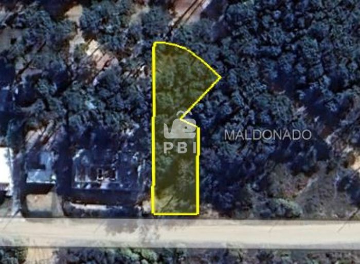 imagen  de la propiedad 164747