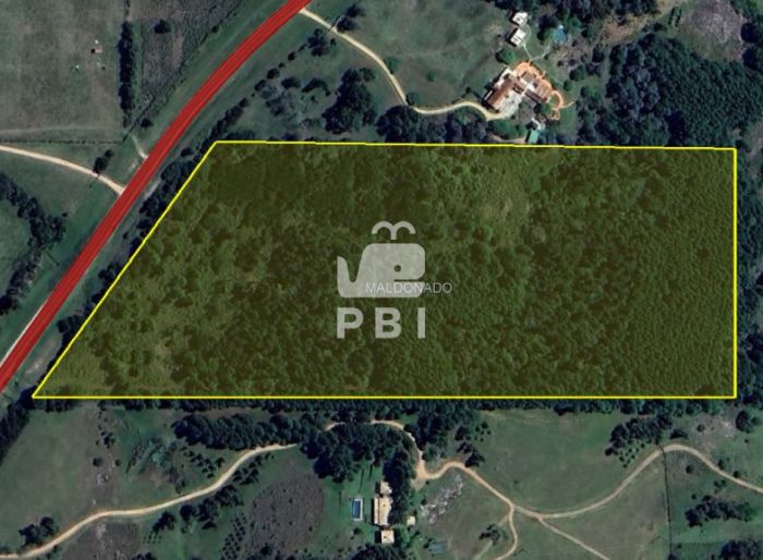 imagen  de la propiedad 172143