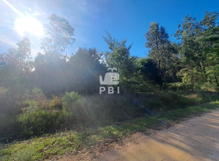imagen  de la propiedad 172234