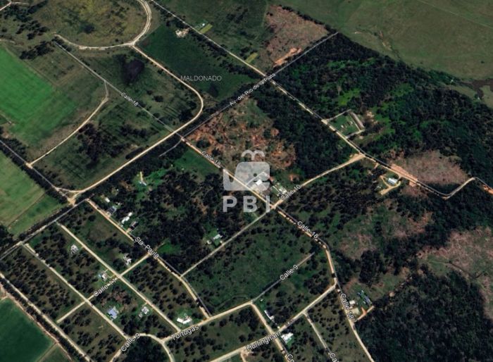 imagen  de la propiedad 172236