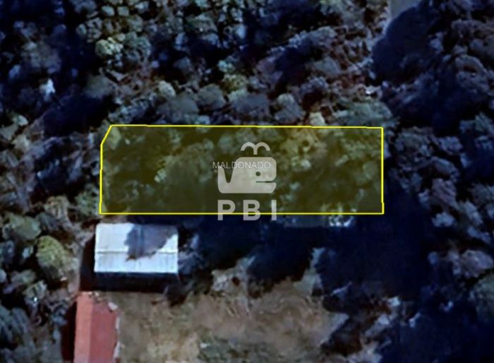 imagen  de la propiedad 184432