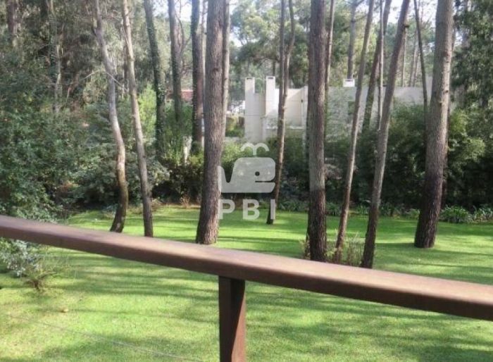 imagen  de la propiedad 61721