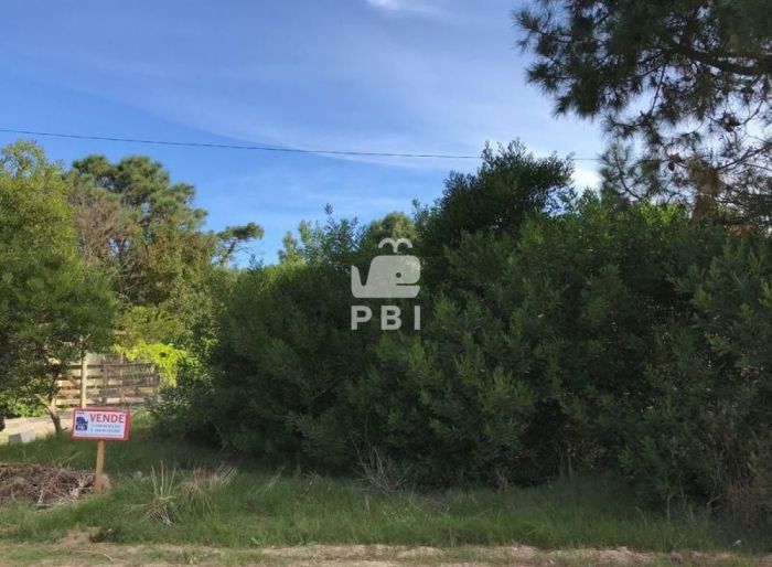 imagen  de la propiedad 61792
