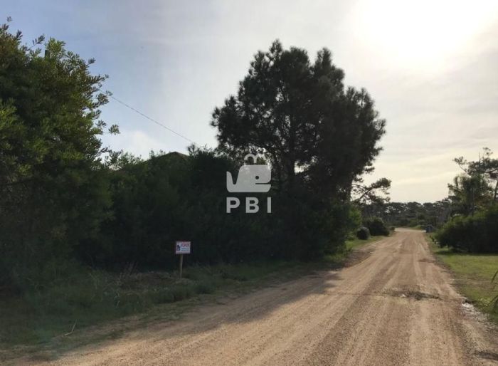 imagen  de la propiedad 61792
