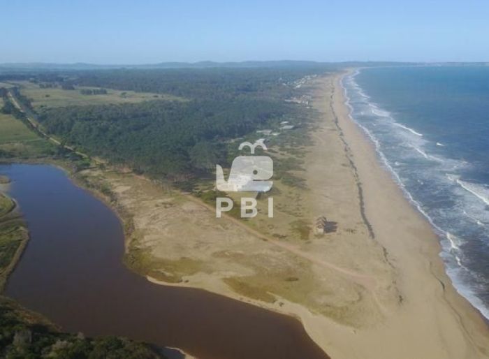 imagen  de la propiedad 61808
