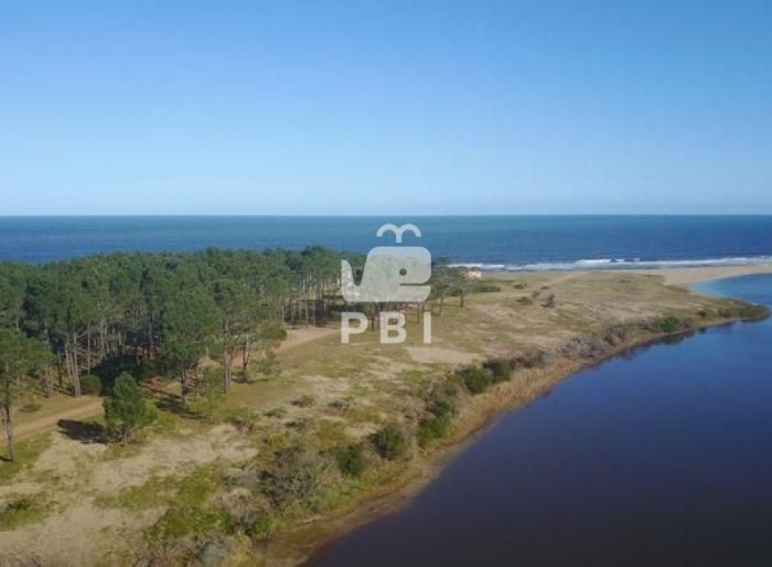 imagen  de la propiedad 61808