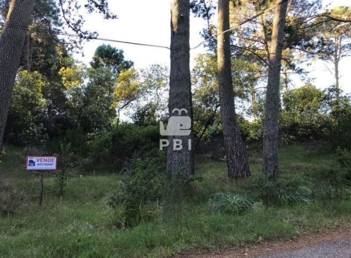 imagen  de la propiedad 61848