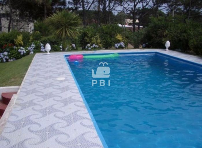 imagen  de la propiedad 61849