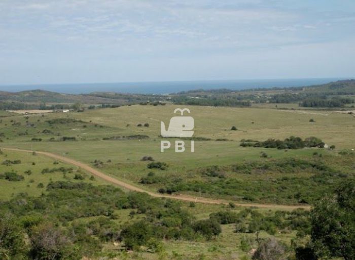imagen  de la propiedad 62009