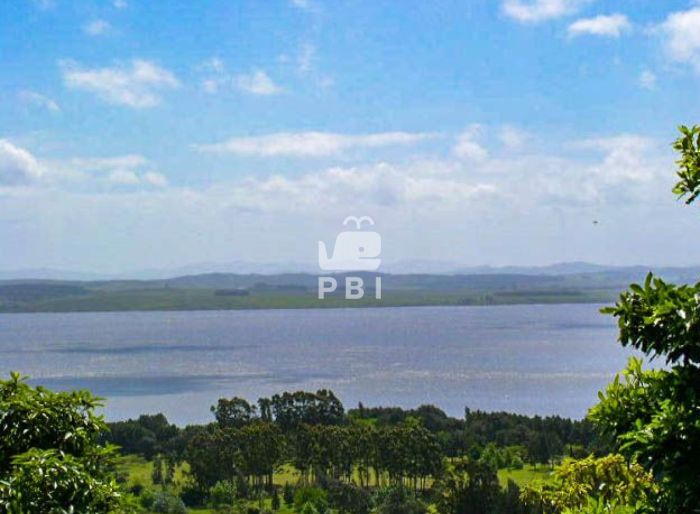 imagen  de la propiedad 62065