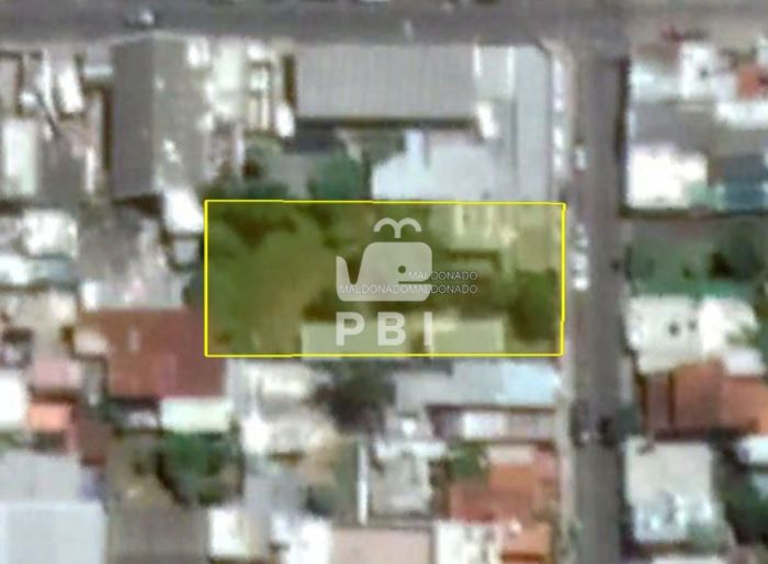 imagen  de la propiedad 62115