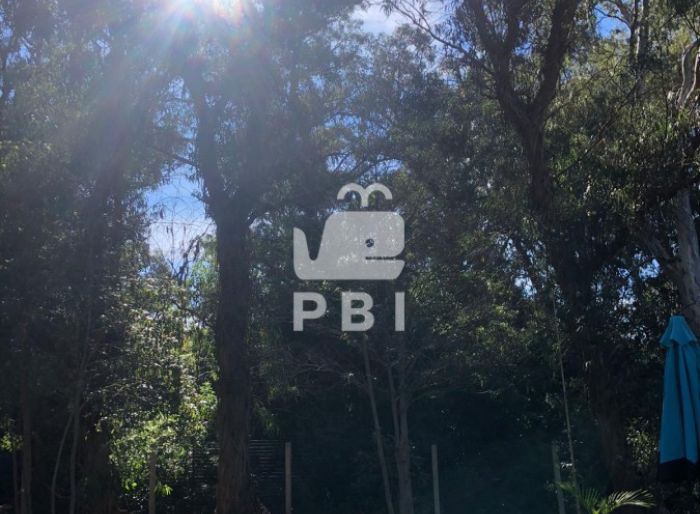 imagen  de la propiedad 62121