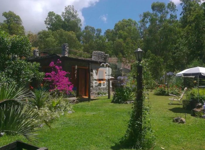 imagen  de la propiedad 62310