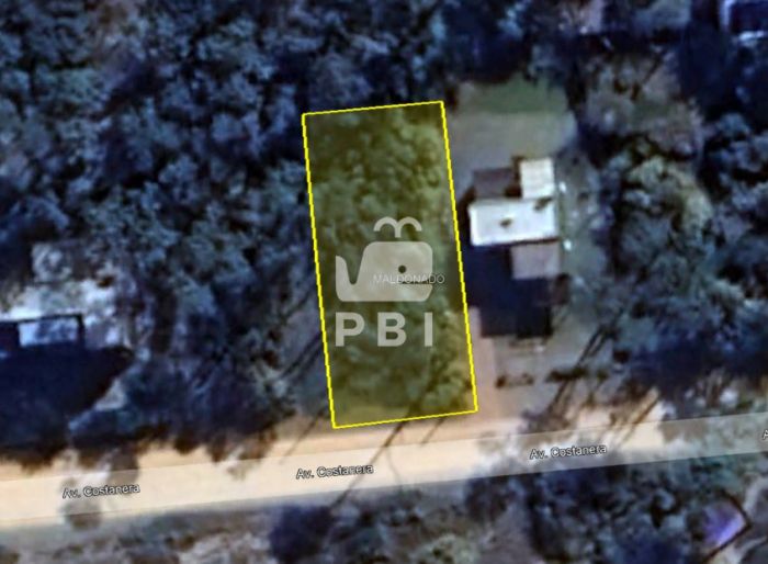 imagen  de la propiedad 62350