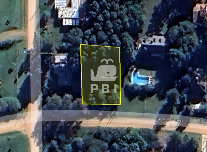 imagen  de la propiedad 62568