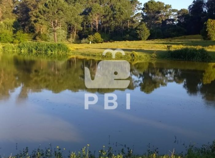 imagen  de la propiedad 62593