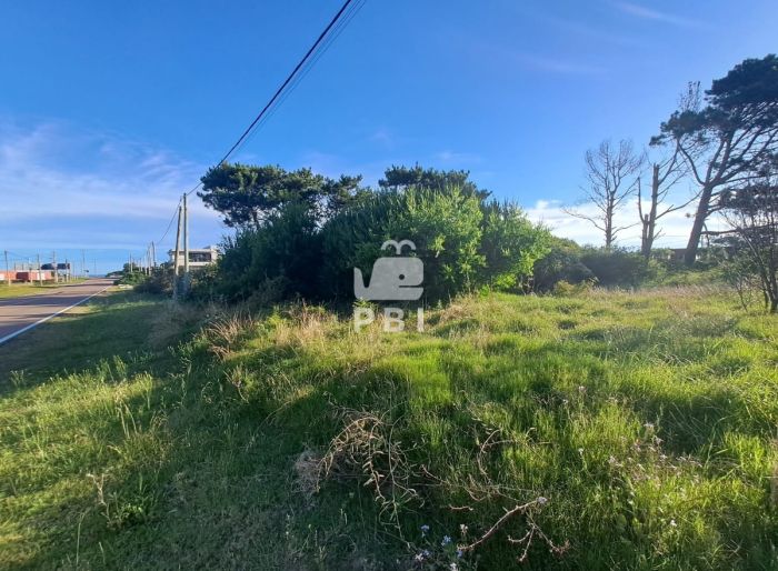 imagen  de la propiedad 62843