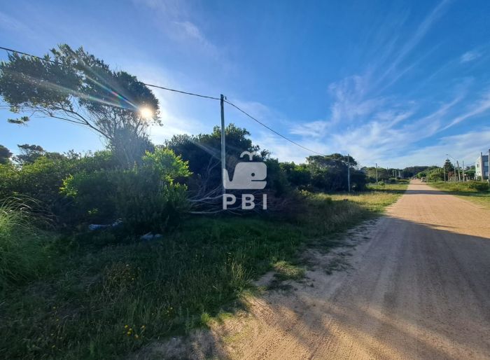 imagen  de la propiedad 62901