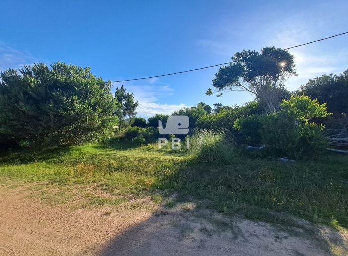 imagen  de la propiedad 62901