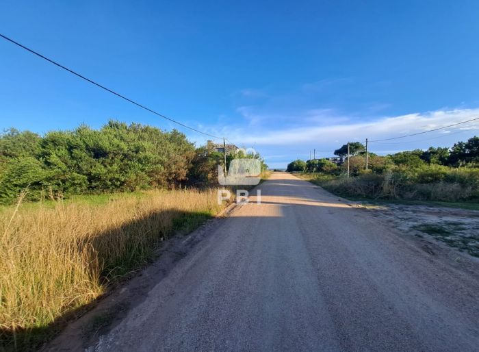 imagen  de la propiedad 62938
