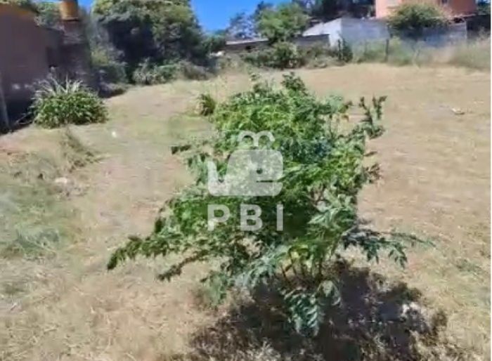 imagen  de la propiedad 63151
