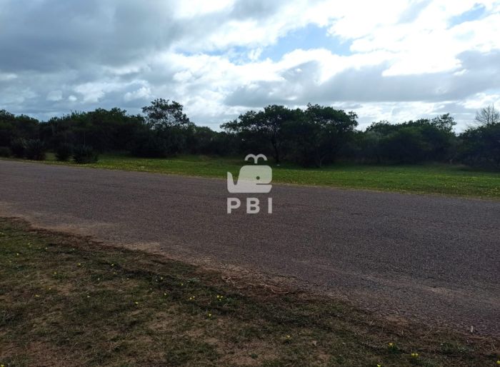 imagen  de la propiedad 67636
