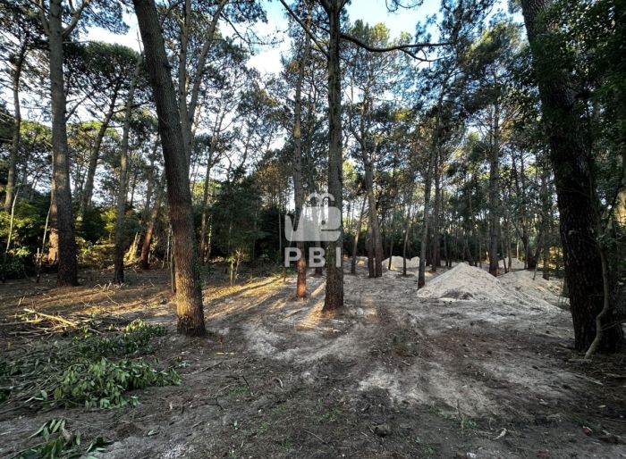 imagen  de la propiedad 95873
