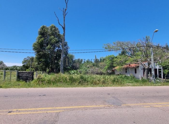 imagen  de la propiedad 66247