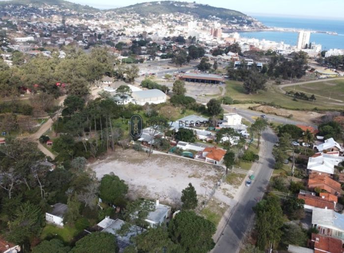 imagen  de la propiedad 77507