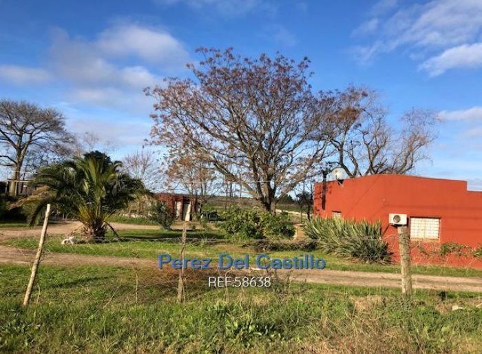 imagen  de la propiedad 160195