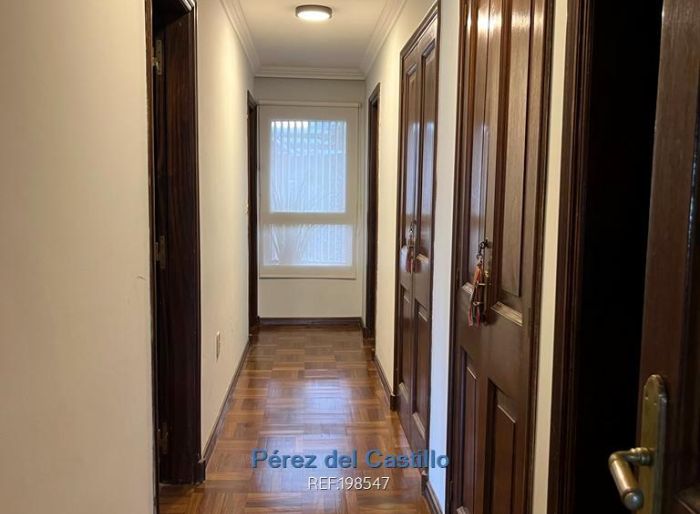 imagen  de la propiedad 160234