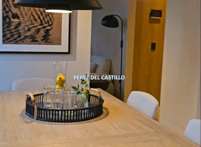imagen  de la propiedad 160236