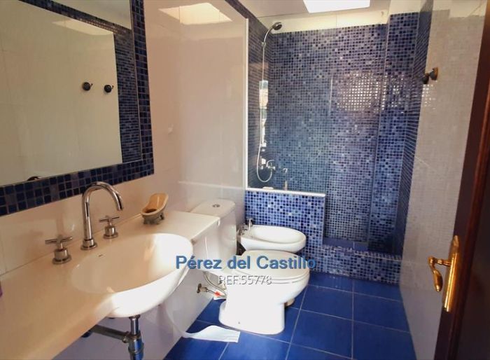 imagen  de la propiedad 160282