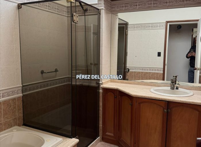 imagen  de la propiedad 182434