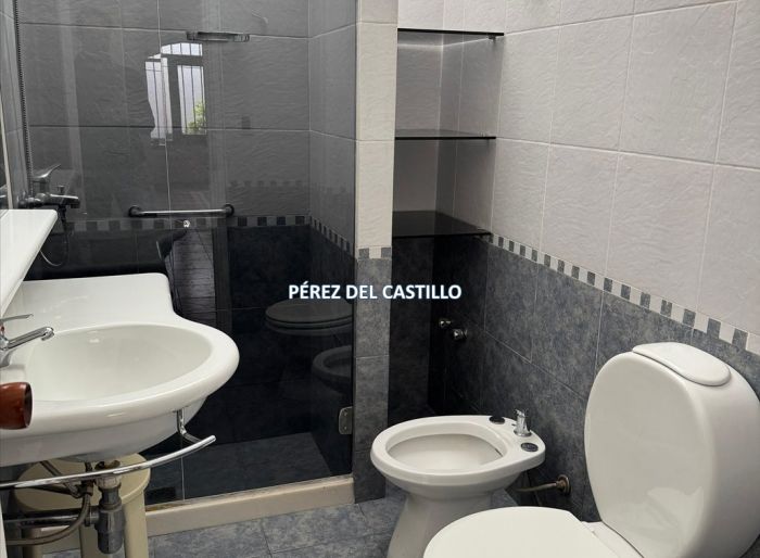 imagen  de la propiedad 182434