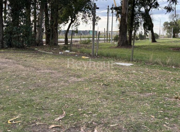 imagen  de la propiedad 145075