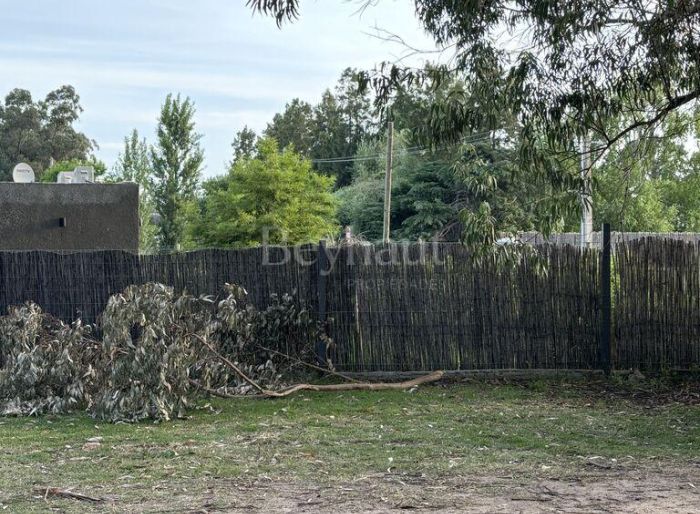 imagen  de la propiedad 145075