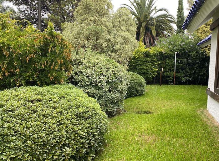 imagen  de la propiedad 82135