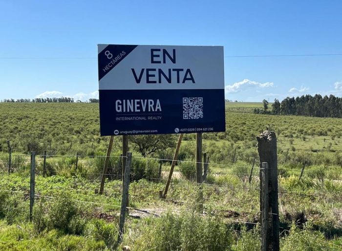imagen  de la propiedad 181701