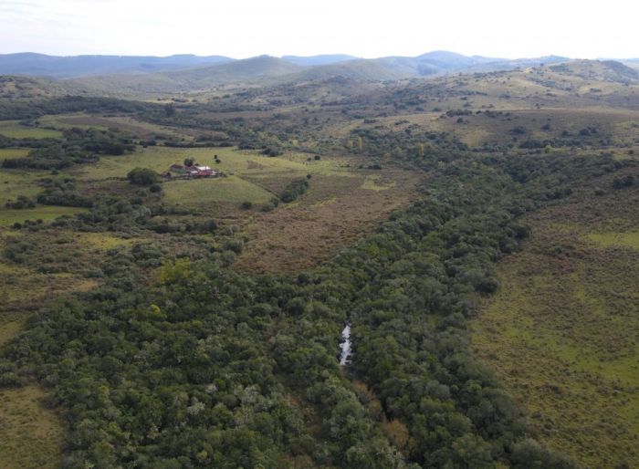 imagen  de la propiedad 174661