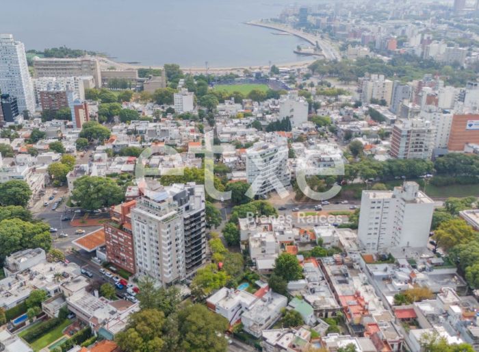 imagen  de la propiedad 167645