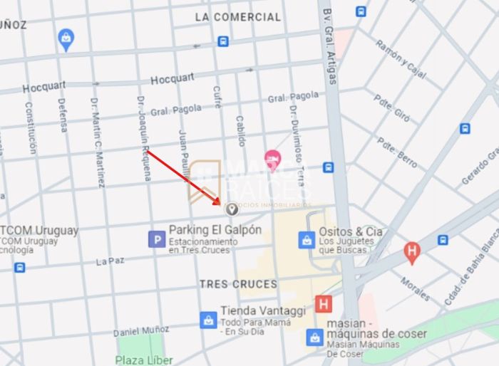 imagen  de la propiedad 100736