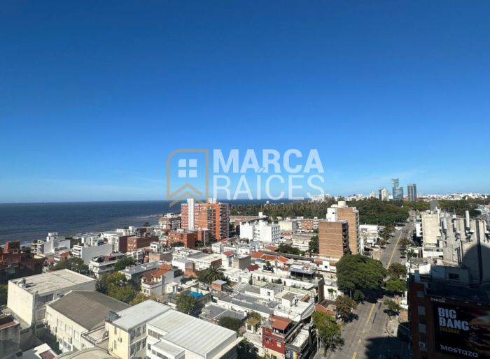 imagen  de la propiedad 145719