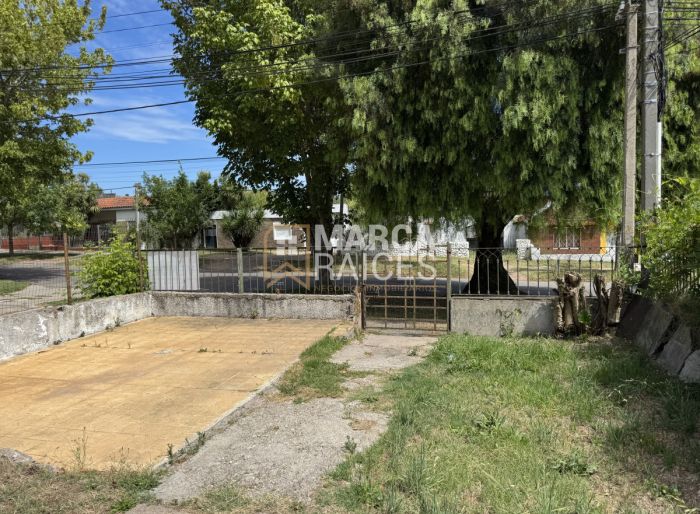 imagen  de la propiedad 146034