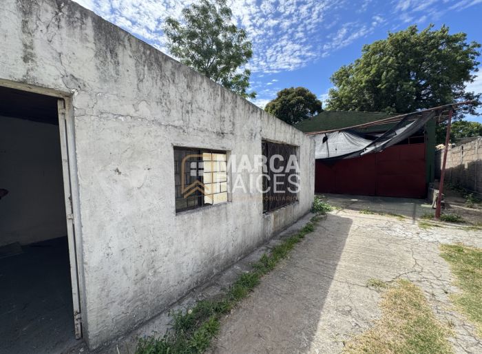 imagen  de la propiedad 146034