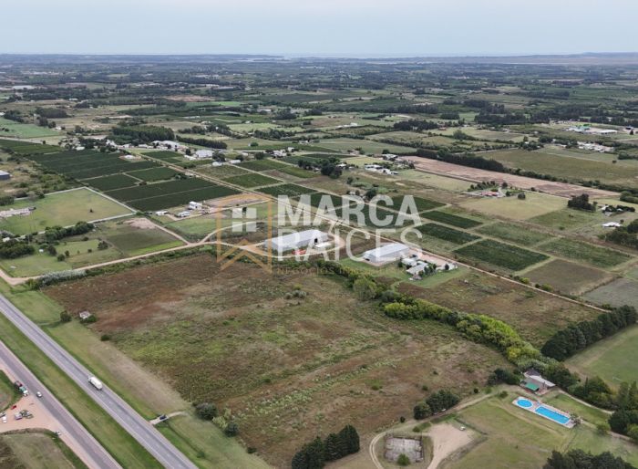 imagen  de la propiedad 154478