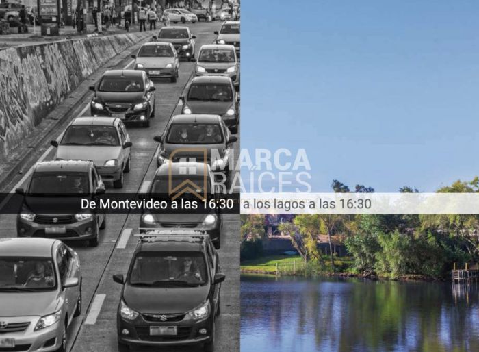 imagen  de la propiedad 173165