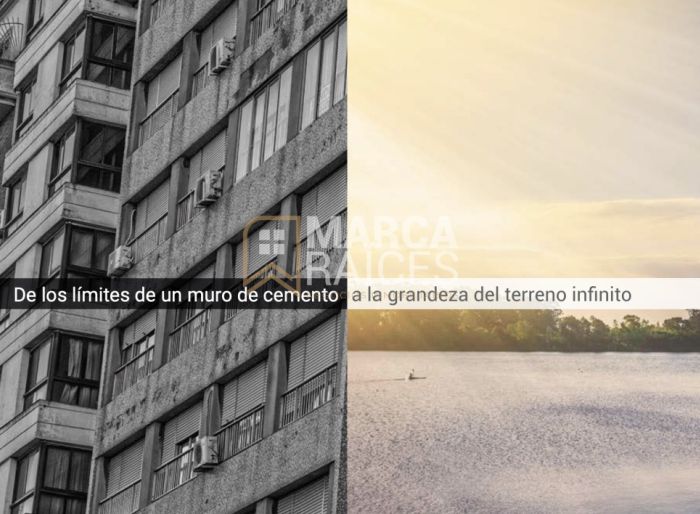 imagen  de la propiedad 173165