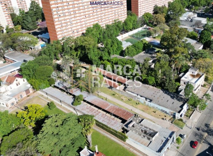 imagen  de la propiedad 72735